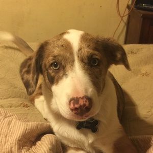 Meet your Posher, Penny